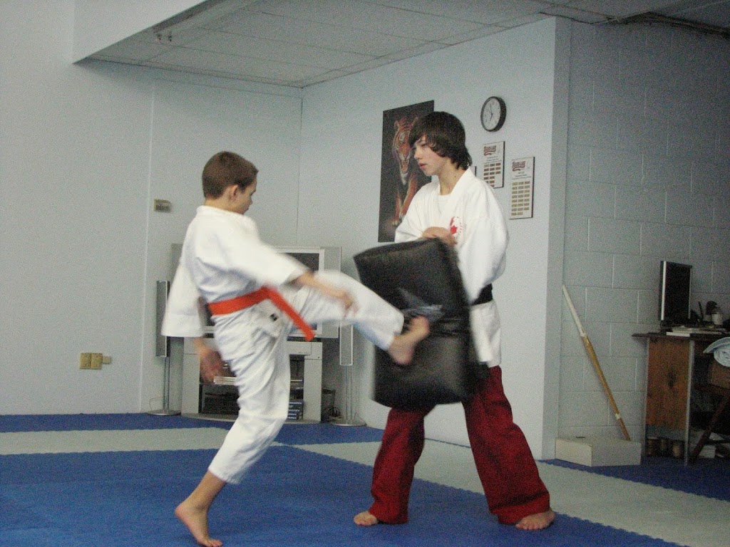 Tigers Lair Karate | 6625 Drummond Rd, Niagara Falls, ON L2G 4N4, Canada | Phone: (905) 371-8287