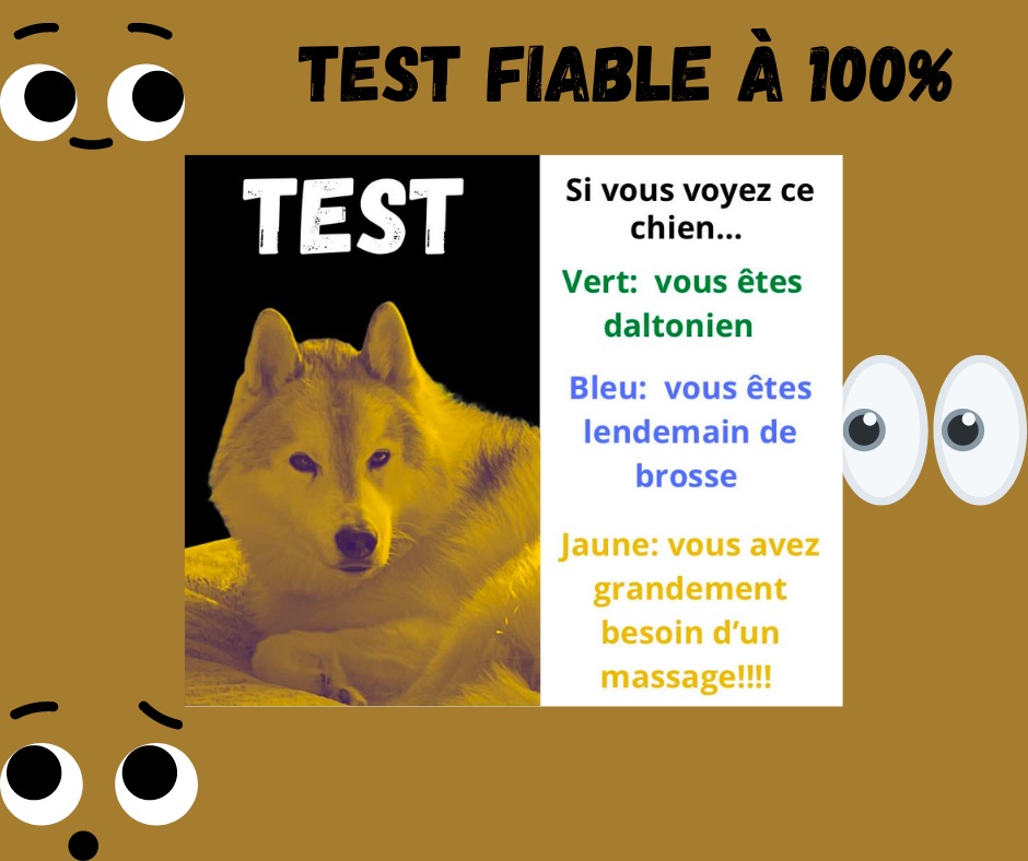 Josée Martin Massothérapeute et Kinésithérapeute | 314 Av. de lÉtang, Mascouche, QC J7K 0A6, Canada | Phone: (514) 924-8375