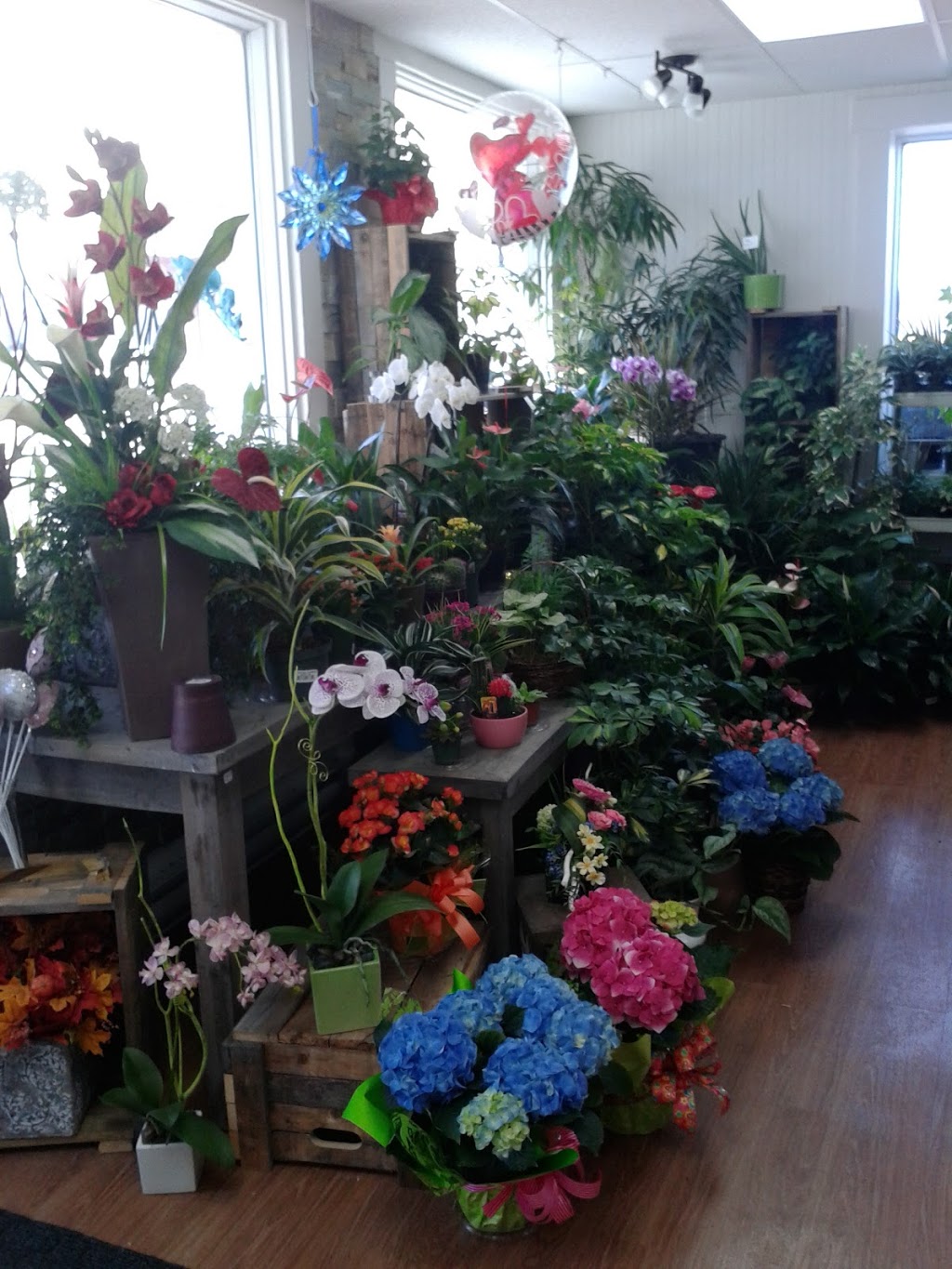 Gaétane Fleuriste Coaticook | 67 Rue Gendreau, Coaticook, QC J1A 2N3, Canada | Phone: (819) 849-2118