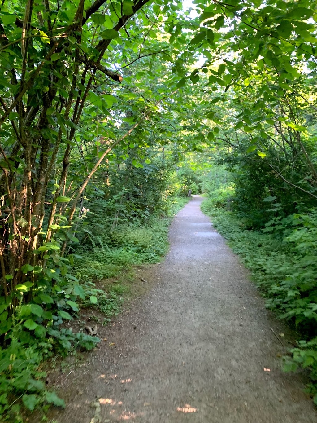 Clayton Park | Surrey, BC V4N 6B6, Canada | Phone: (604) 501-5050