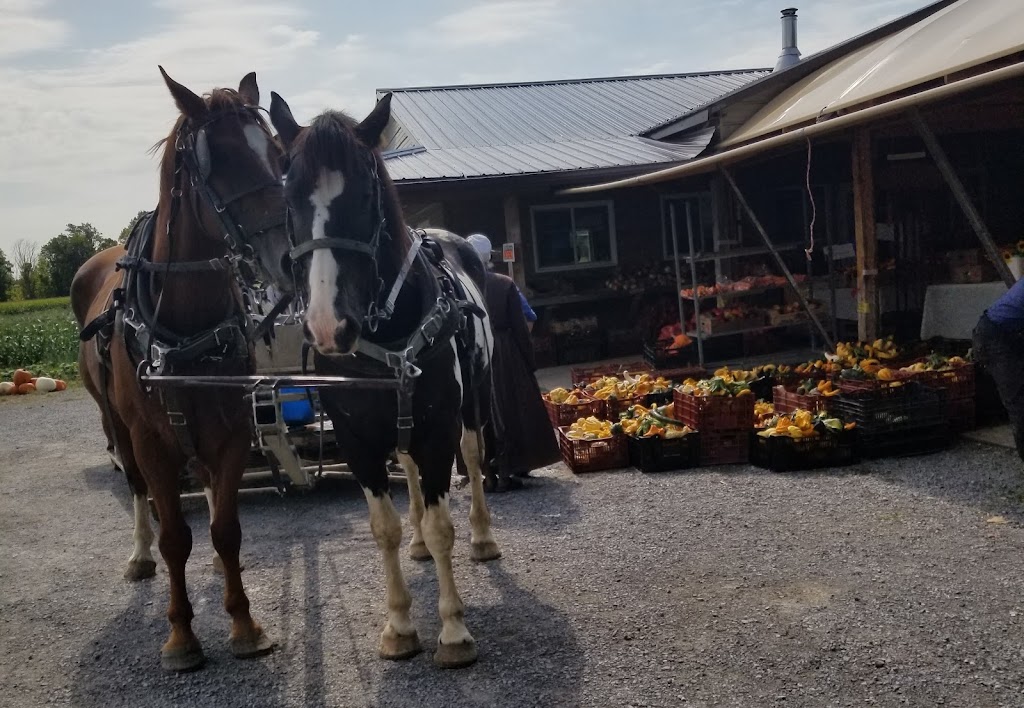 Farm Fresh Produce | 5653 ON-60, Douglas, ON K0J 1S0, Canada | Phone: (647) 821-7883
