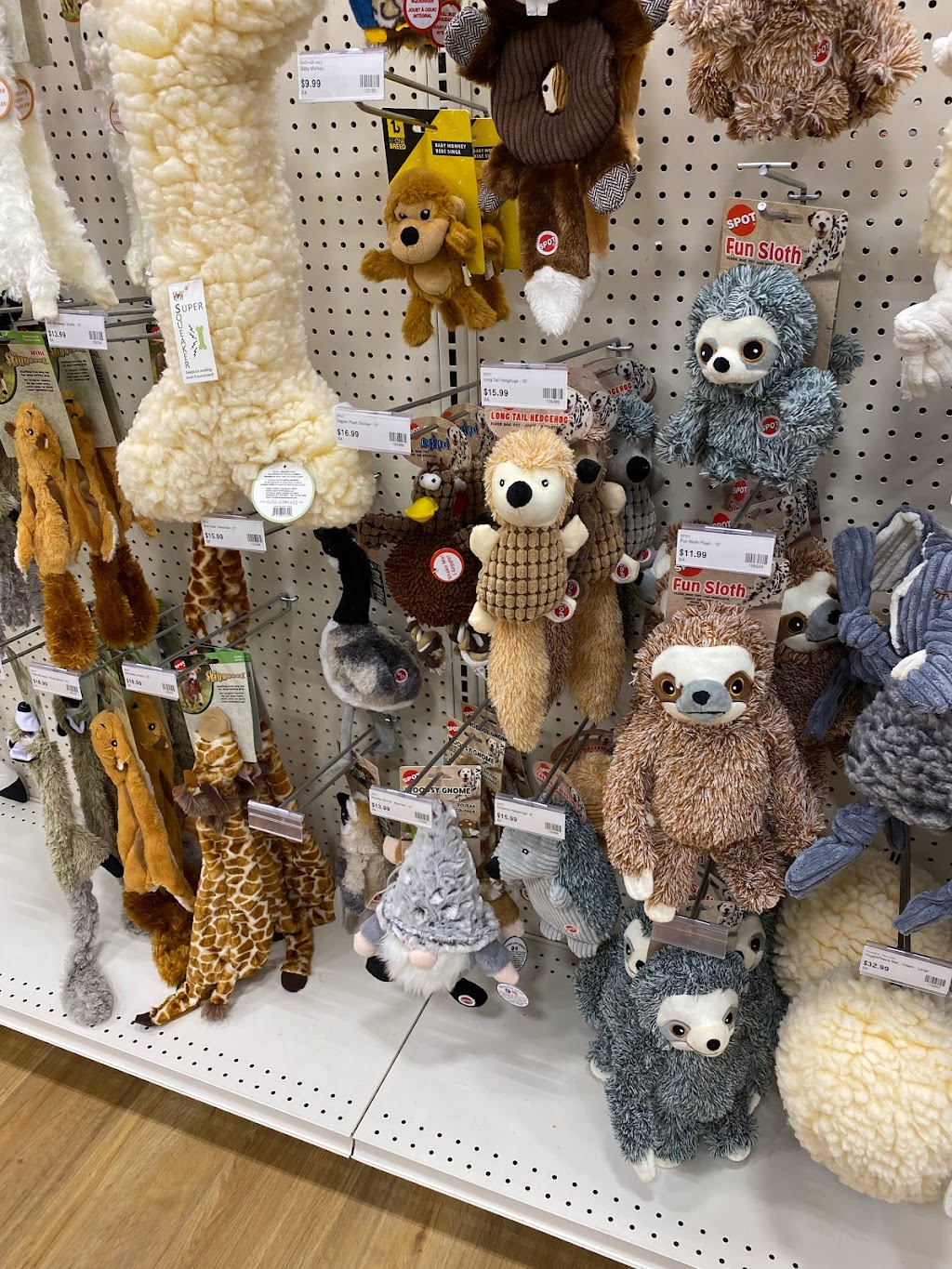 Rens Pets Stouffville | 1040 Hoover Park Dr, Gormley, ON L0H 1G0, Canada | Phone: (905) 209-6867