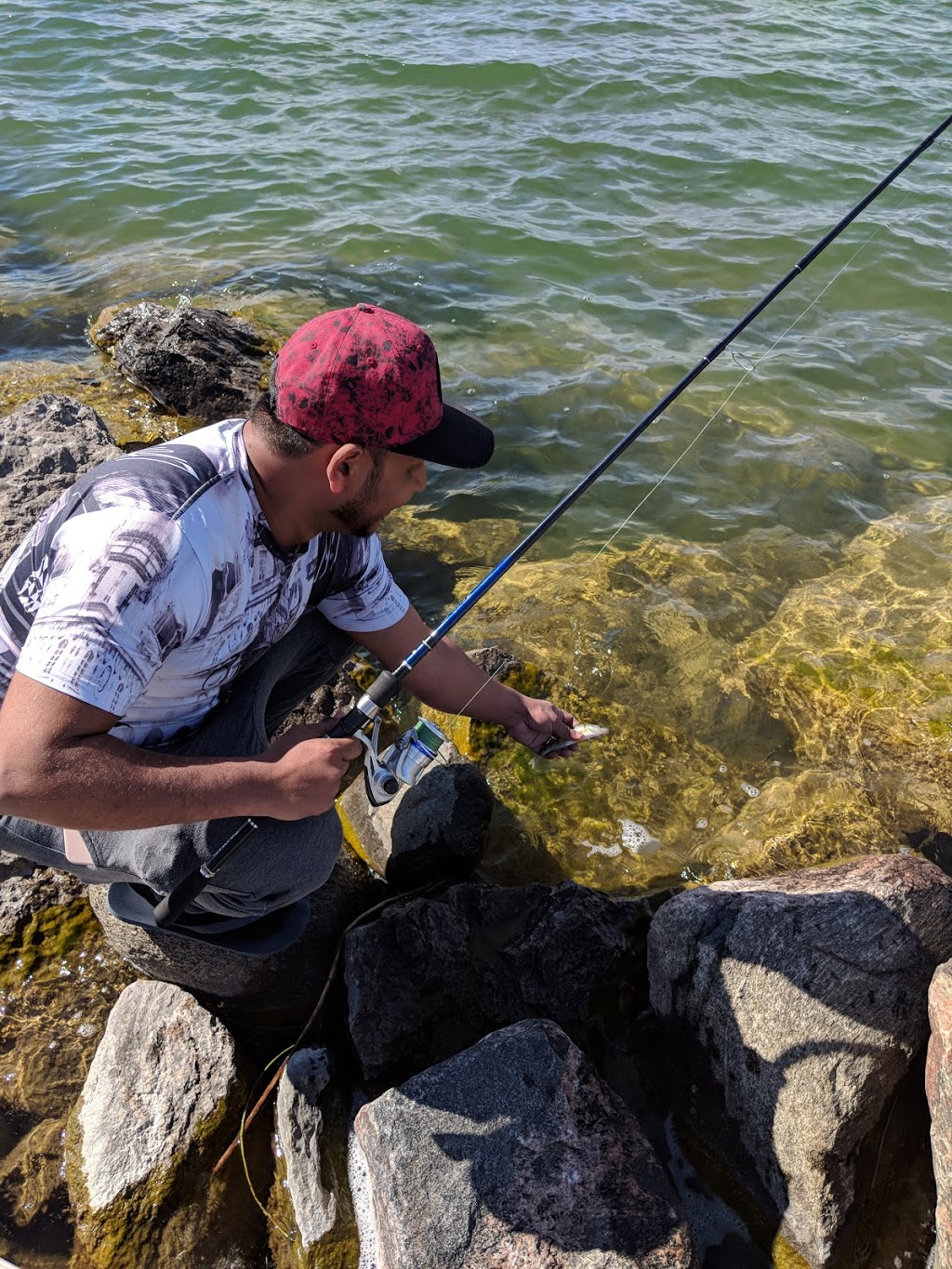Daves Fish Huts | 7792 Black River Rd, Georgina, ON L0E, Canada | Phone: (905) 722-3372
