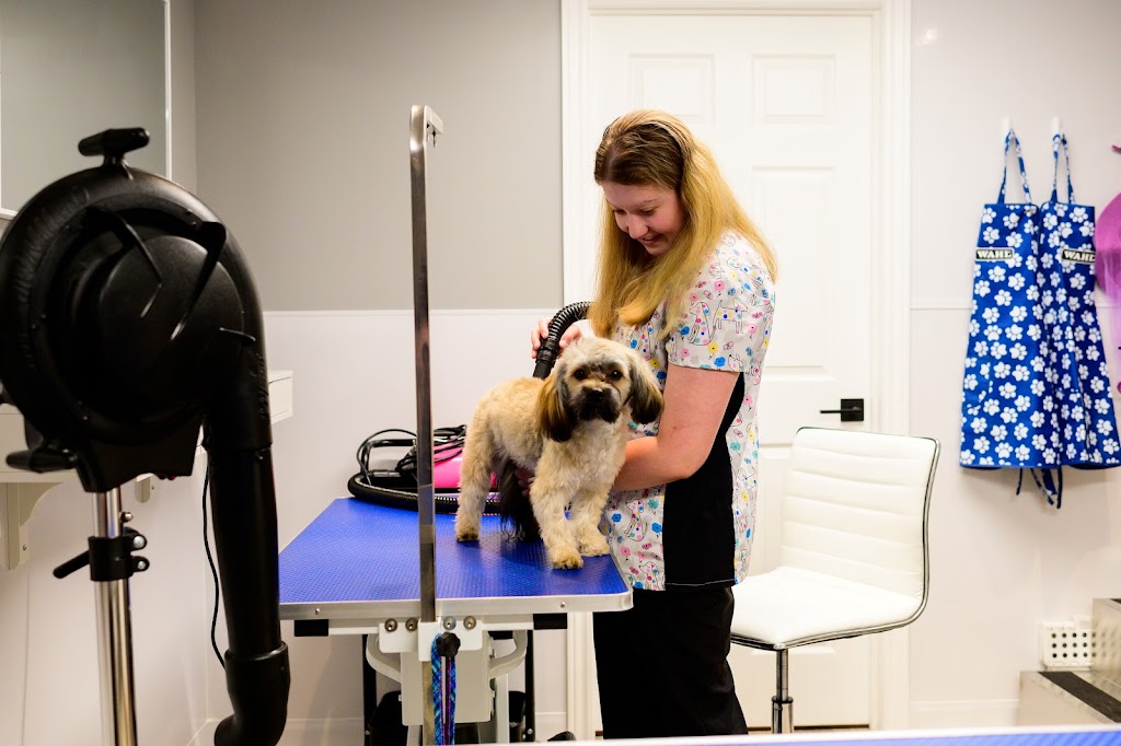 FurEver Young Pet Grooming 53 Confederation Dr, Kitchener, ON N2B 2X6, Canada