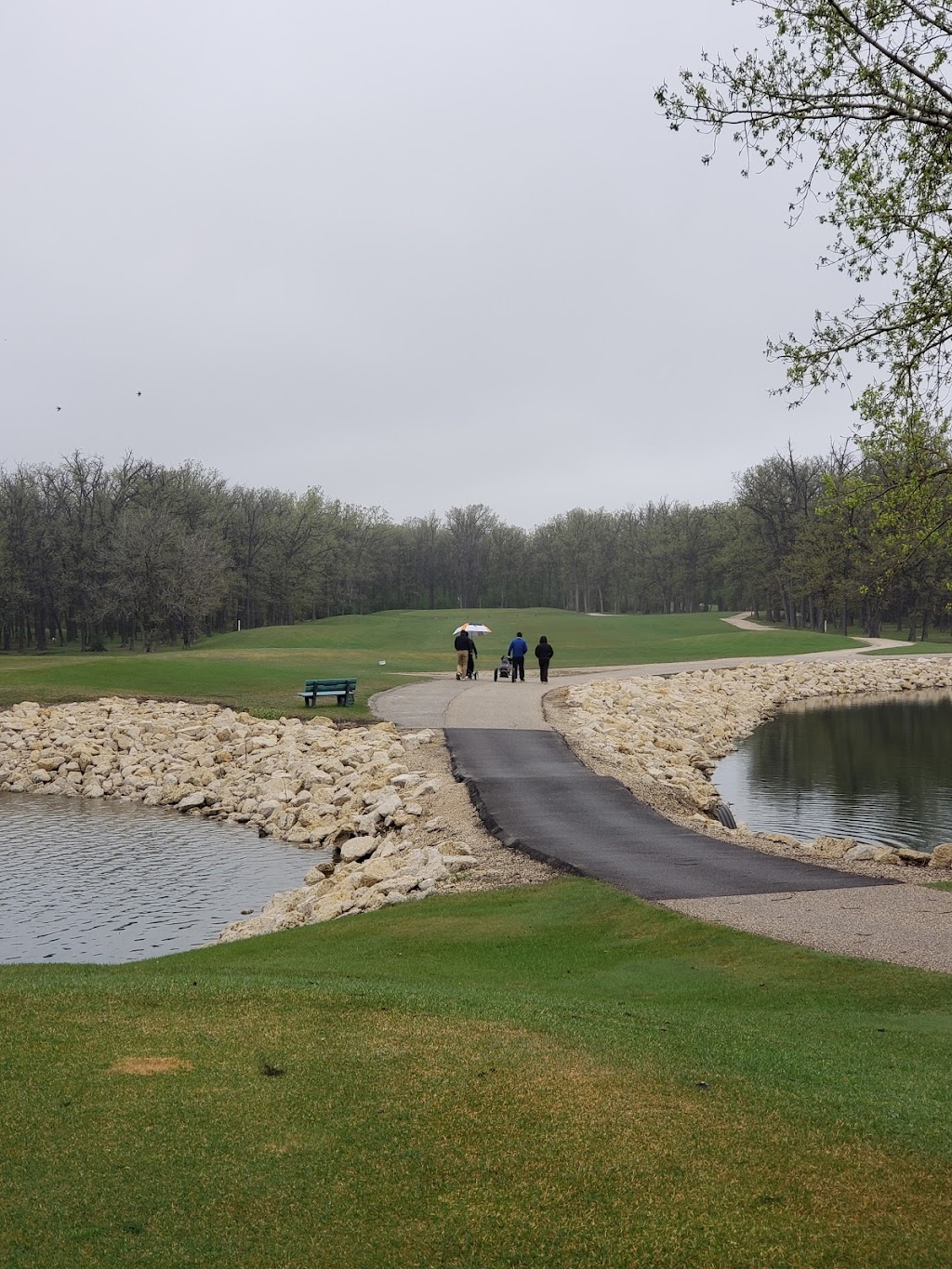 The Players Course | 2695 Park Royale Wy, Winnipeg, MB R3C 2E6, Canada | Phone: (204) 697-4976