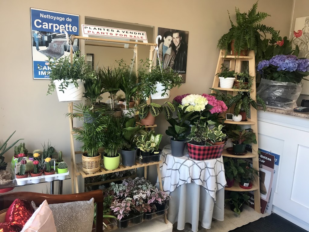 Nettoyeurs-Tailleurs Beaconsfield | 454B Bd Beaconsfield, Beaconsfield, QC H9W 4B9, Canada | Phone: (514) 697-9266