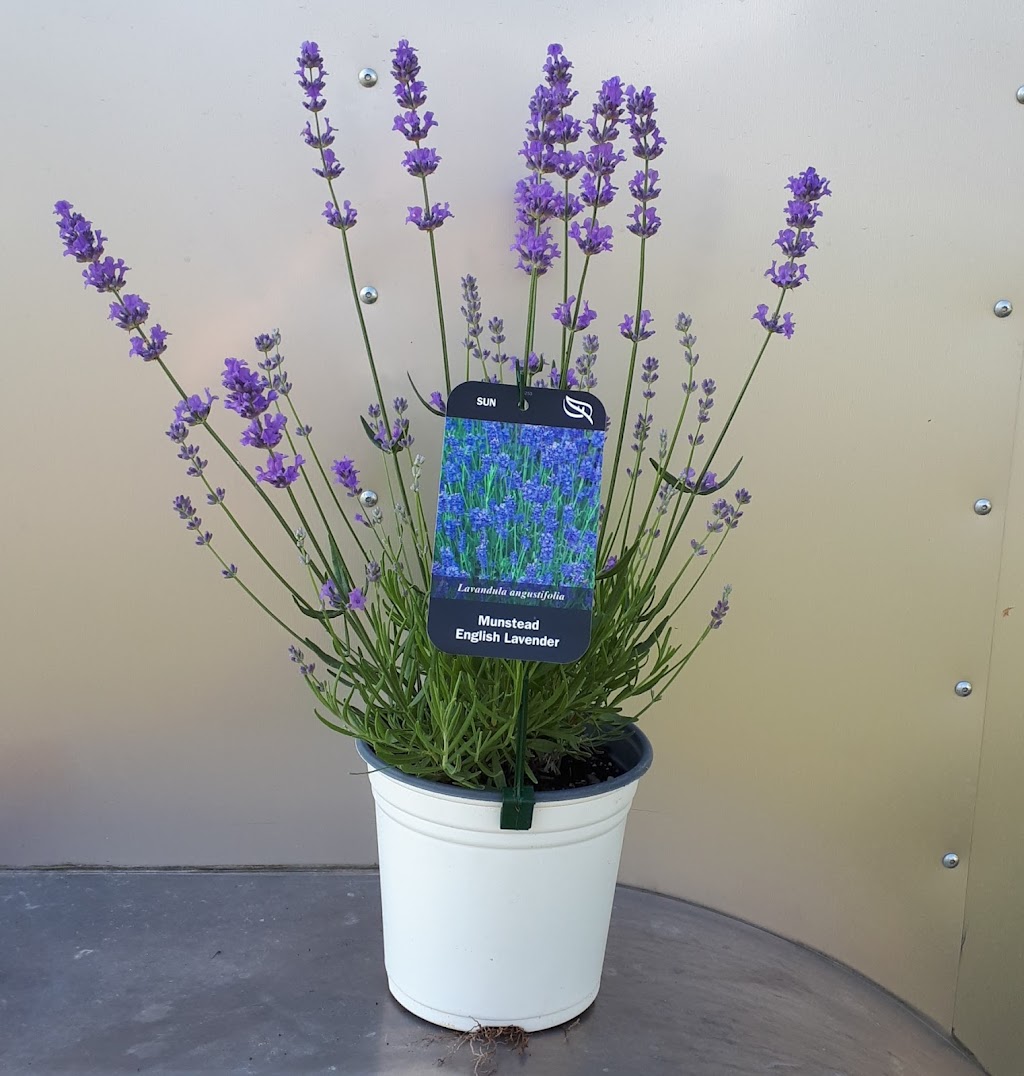 Hofland Gardens | 102 Bellamy Rd, Brighton, ON K0K 1H0, Canada | Phone: (905) 355-3392