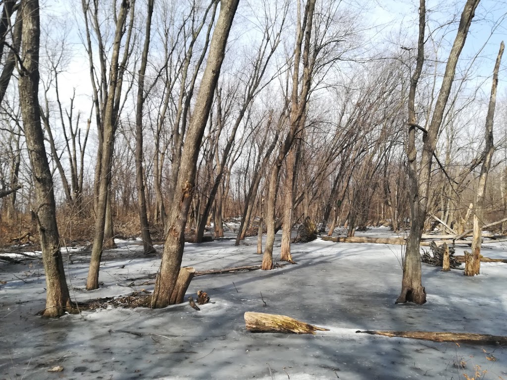 Parc Kenneth-Lloyd | Rue Lloyd, Gatineau, QC J9H 1R2, Canada | Phone: (866) 299-2002