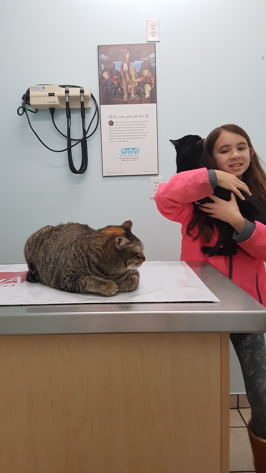 48th Avenue Animal Hospital | 5020 48 Ave, Delta, BC V4K 1V8, Canada | Phone: (604) 946-7779