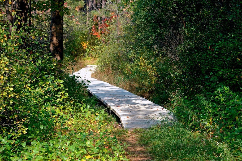Pine Grove | Pine Grove Trail, Ottawa, ON K1G 3N4, Canada | Phone: (613) 239-5000