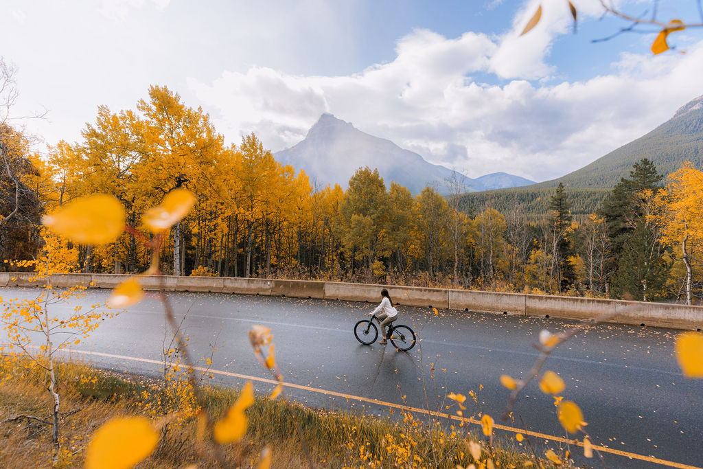 Bow Valley Parkway | Bow Valley Pkwy, Improvement District No. 9, AB T0L 1E0, Canada | Phone: (250) 726-6242