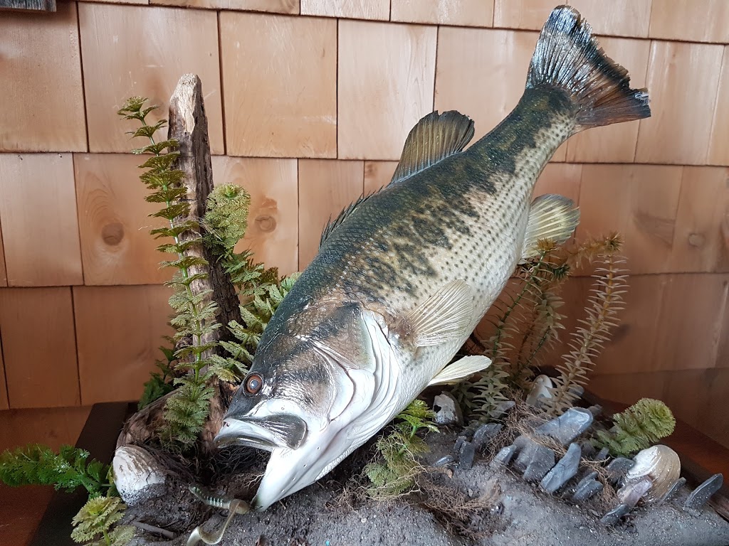 Taxidermie Chez Eric | 279 Rue Principale, Vallée-Jonction, QC G0S 3J0, Canada | Phone: (418) 253-6495
