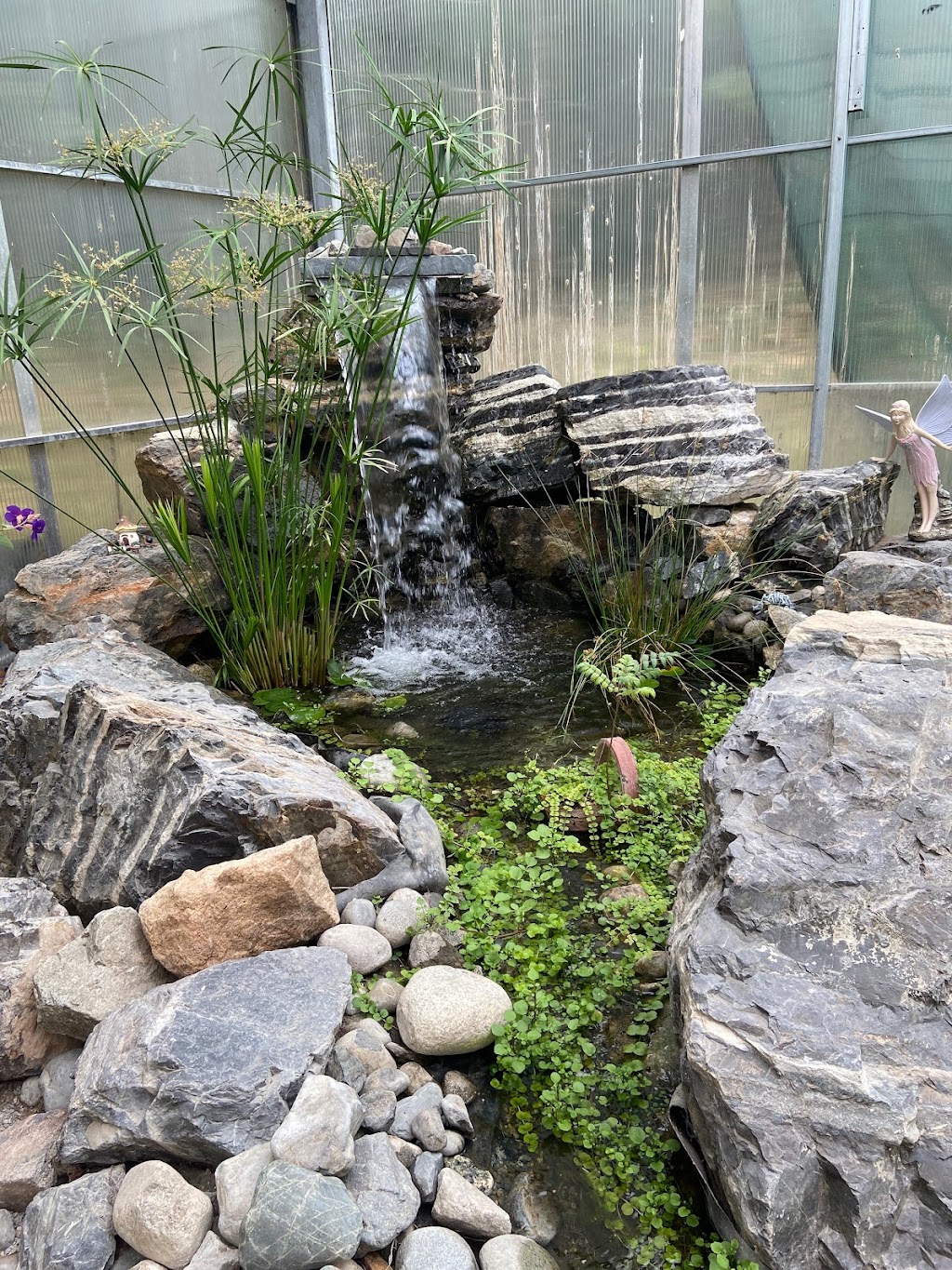 Butterfly World, Coombs | 1080 Winchester Rd, Coombs, BC V0R 1M0, Canada | Phone: (250) 248-7026