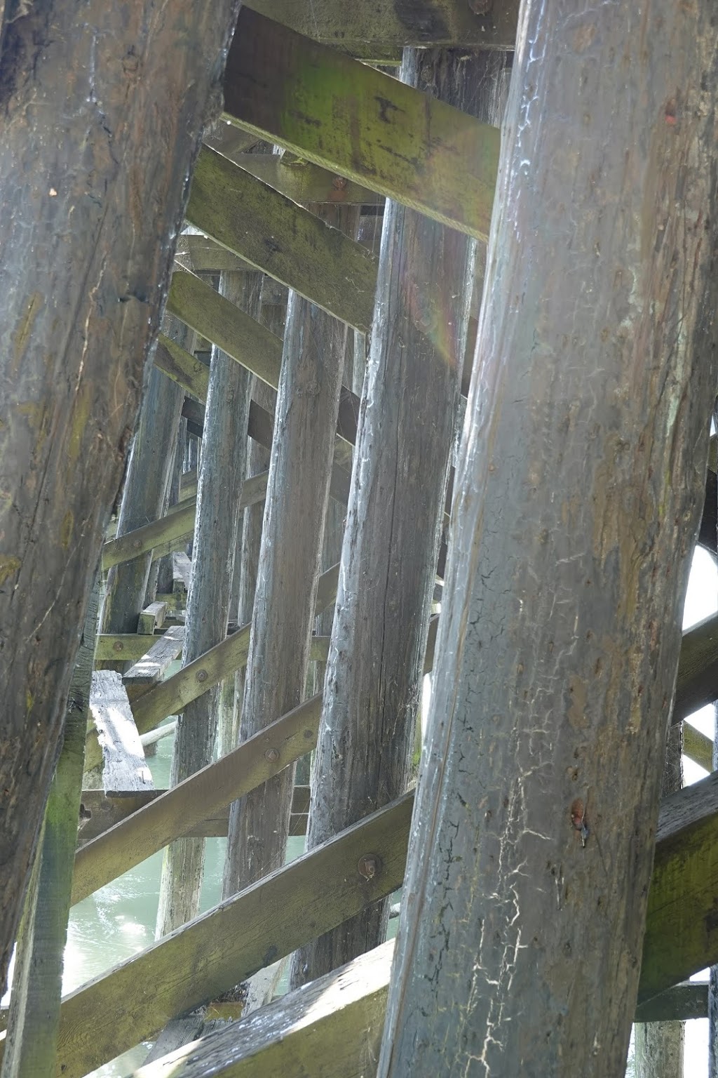 Fraser Foreshore Trail | Unnamed Road, Burnaby, BC V5J 5L8, Canada