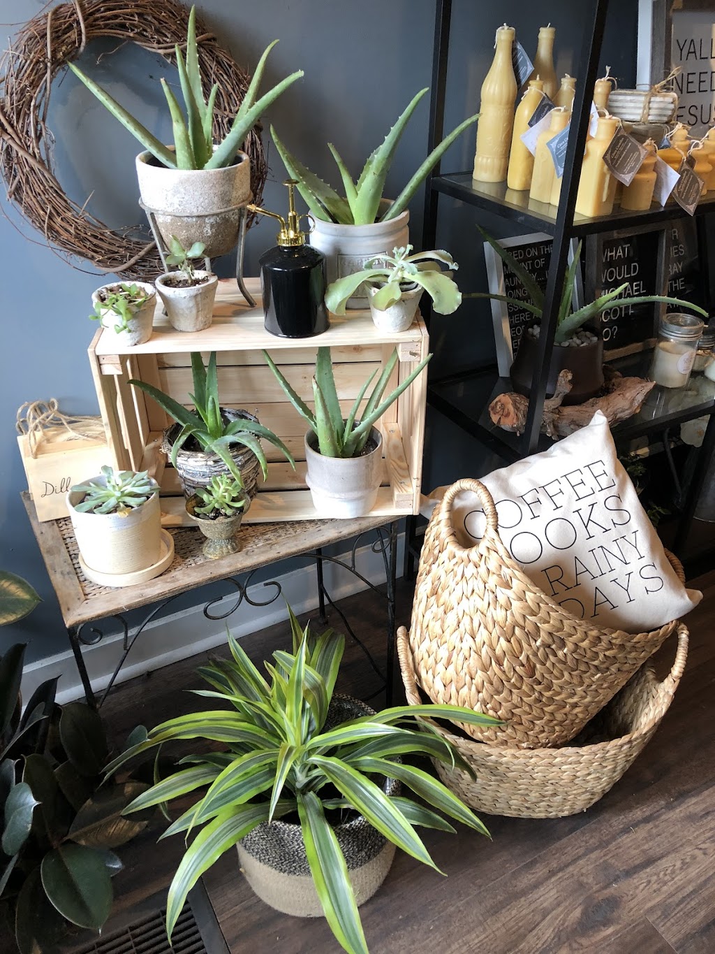 Sticks & Stones Floral Design | 90 Gertrude St, Hamilton, ON L8L 4C2, Canada | Phone: (289) 253-4275