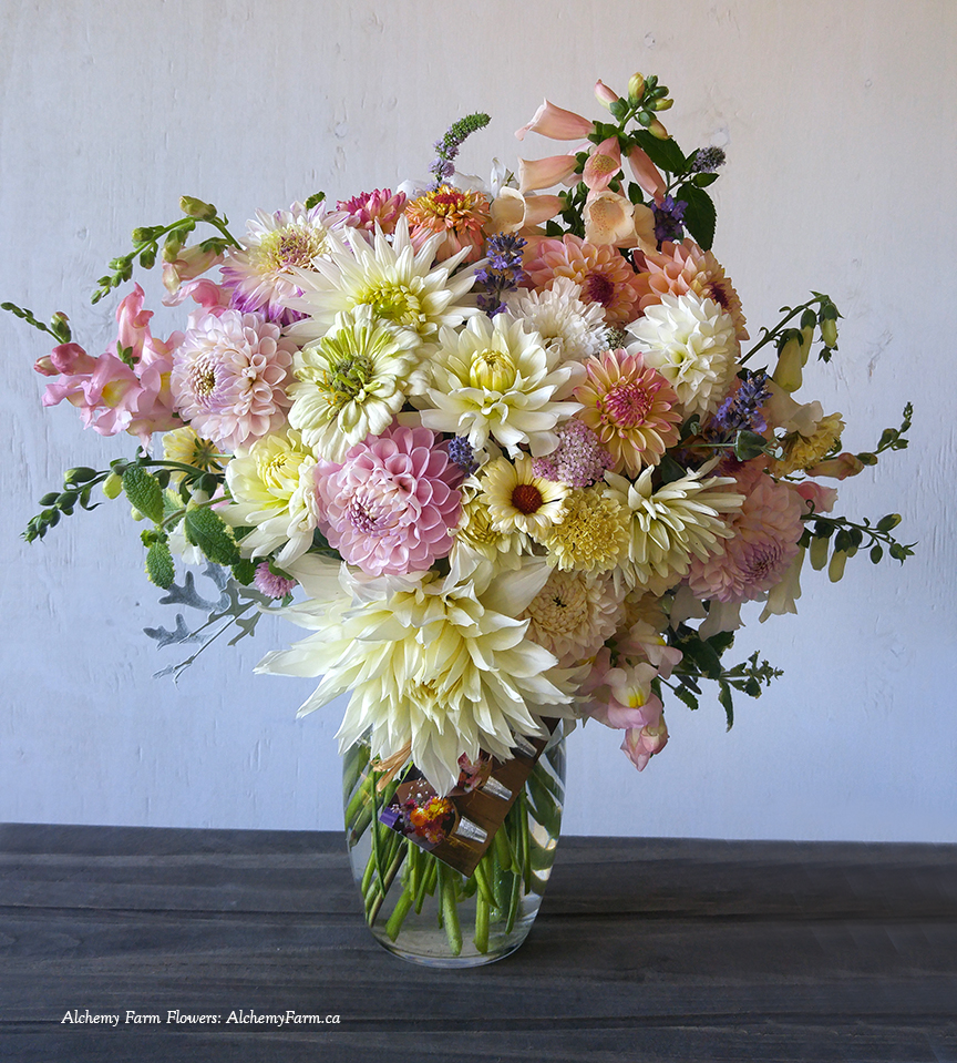 Alchemy Farm Flowers | 181 Furness Rd, Salt Spring Island, BC V8K 1Z7, Canada | Phone: (250) 930-3276
