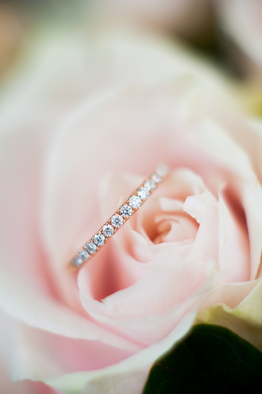 Blake Giroux Photography | 5688 Sherkston Rd, Sherkston, ON L0S 1R0, Canada | Phone: (289) 821-3708