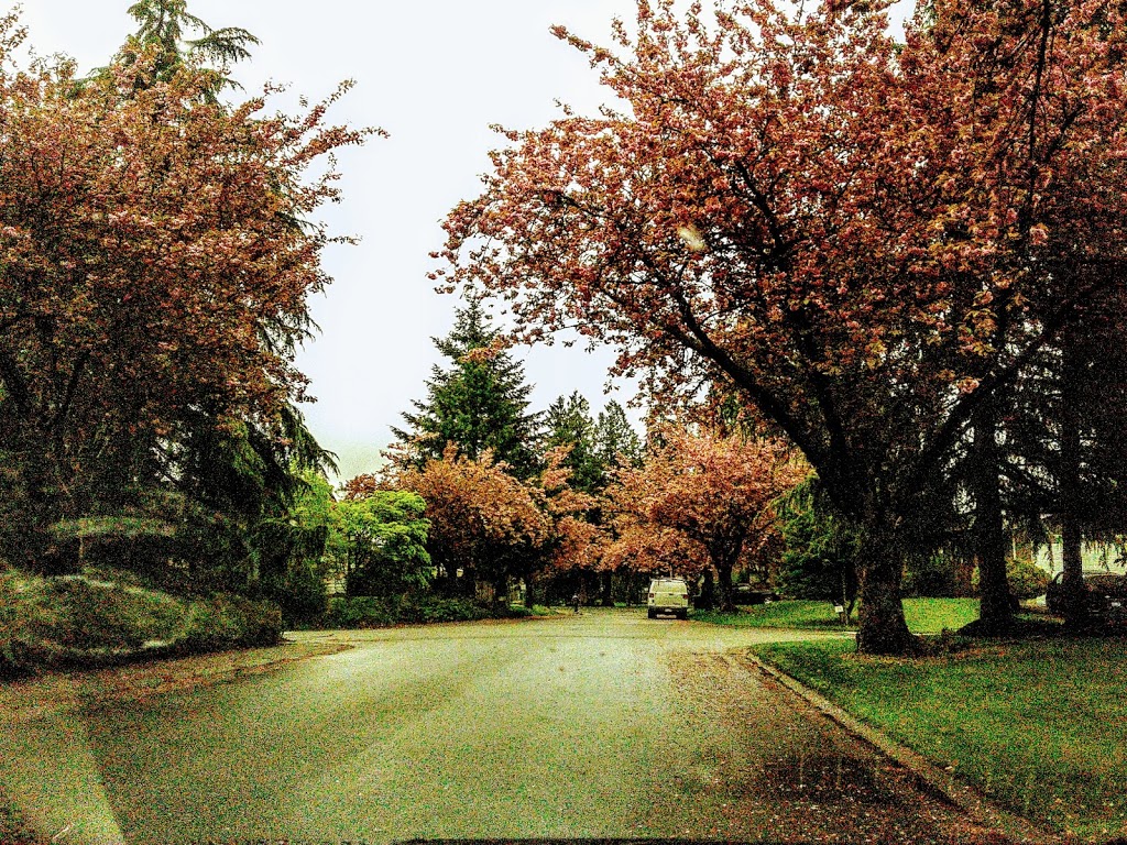 Johnston Heights Park | 9698 151 St, Surrey, BC V3R 8W7, Canada
