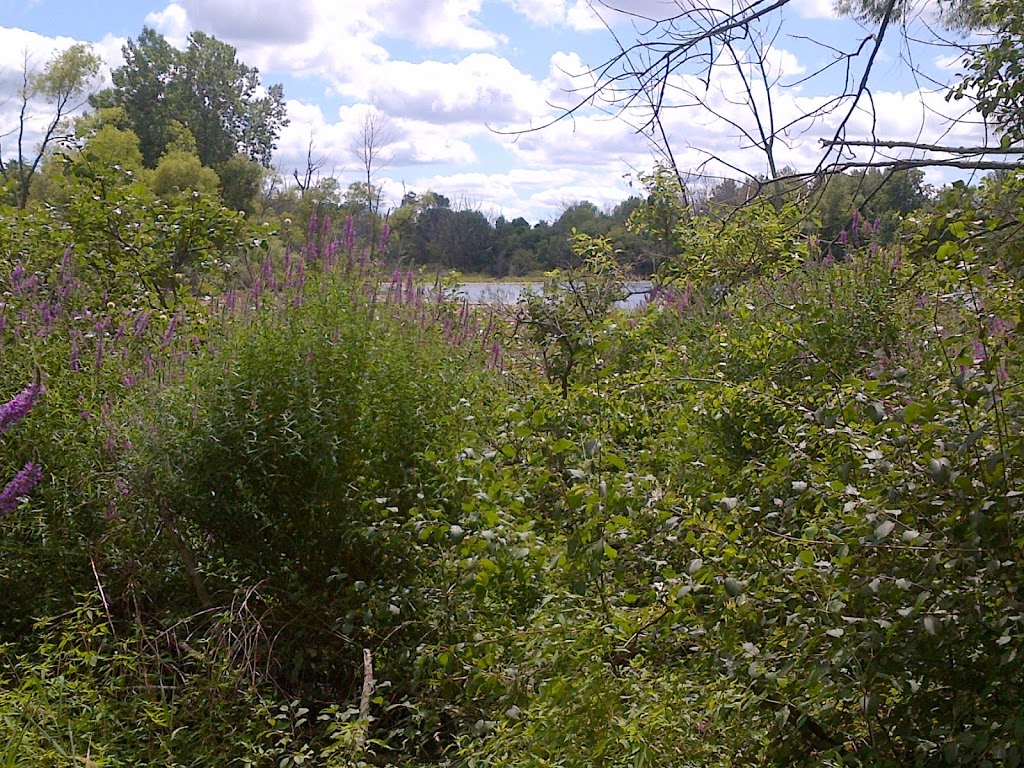 Westminster Ponds ESA | Westminster, London, ON N6C 2X8, Canada