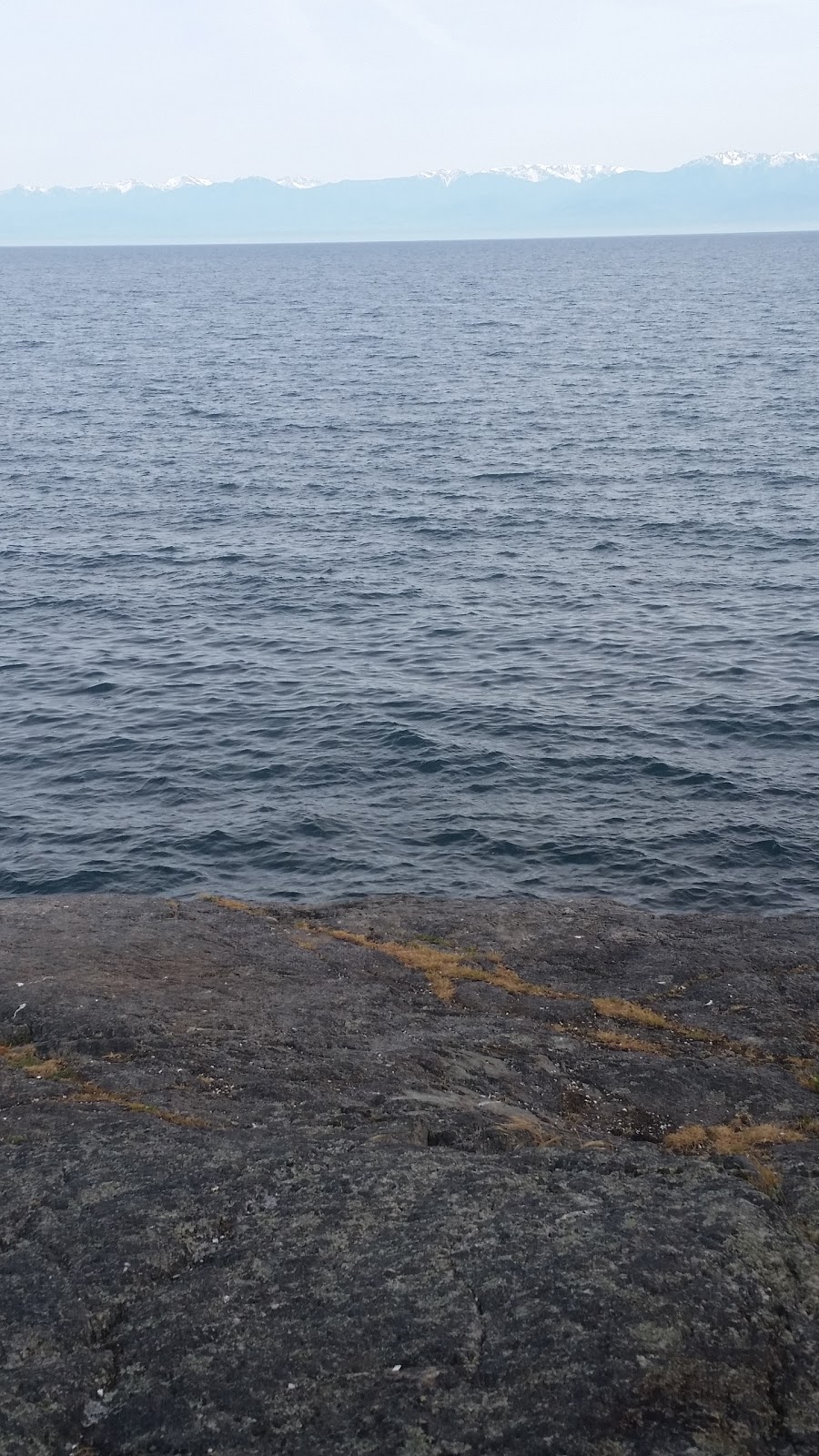 Denniston Park | 430 Grafton St, Victoria, BC V9A 6S3, Canada