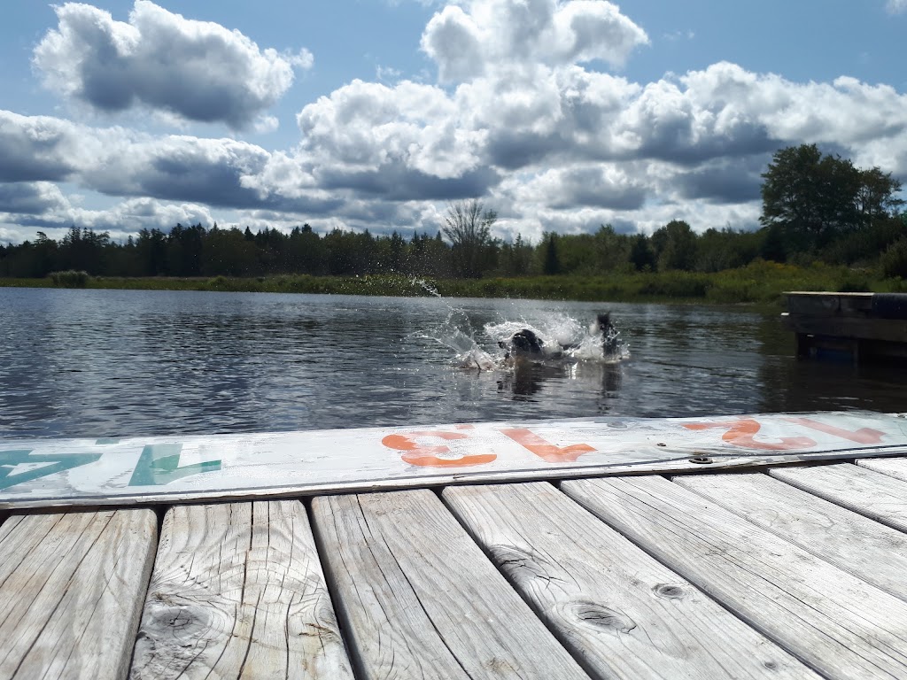 Lietash Canine Academy | 1502 Hwy #202, Mount Uniacke, NS B0N 1Z0, Canada | Phone: (902) 866-2273