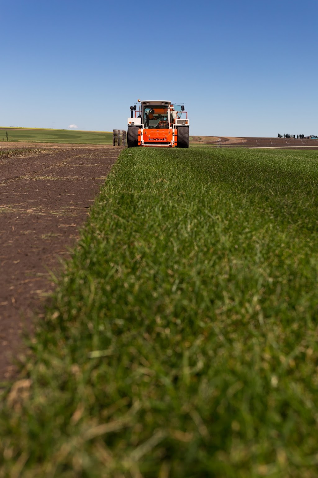 Eagle Lake Turf Farms | Township Rd 240 & Range Rd 243 Township Rd 240 &, Range Rd 243, Strathmore, AB T0J 3G0, Canada | Phone: (403) 934-6808