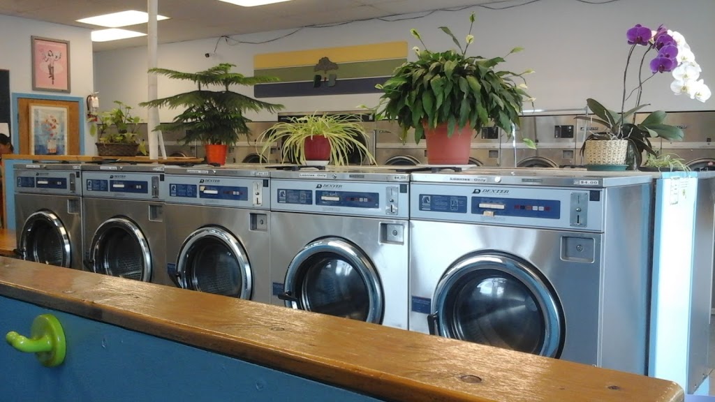 Bright & Breezy Coin Laundry | 15428 Fraser Hwy, Surrey, BC V3R 3P5, Canada | Phone: (604) 581-3074