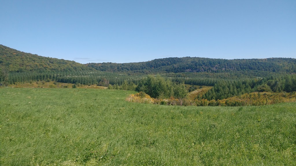Qui sème récolte! | 291 Rang Saint Guillaume, Saint-Jean-de-Matha, QC J0K 2S0, Canada | Phone: (450) 886-1504