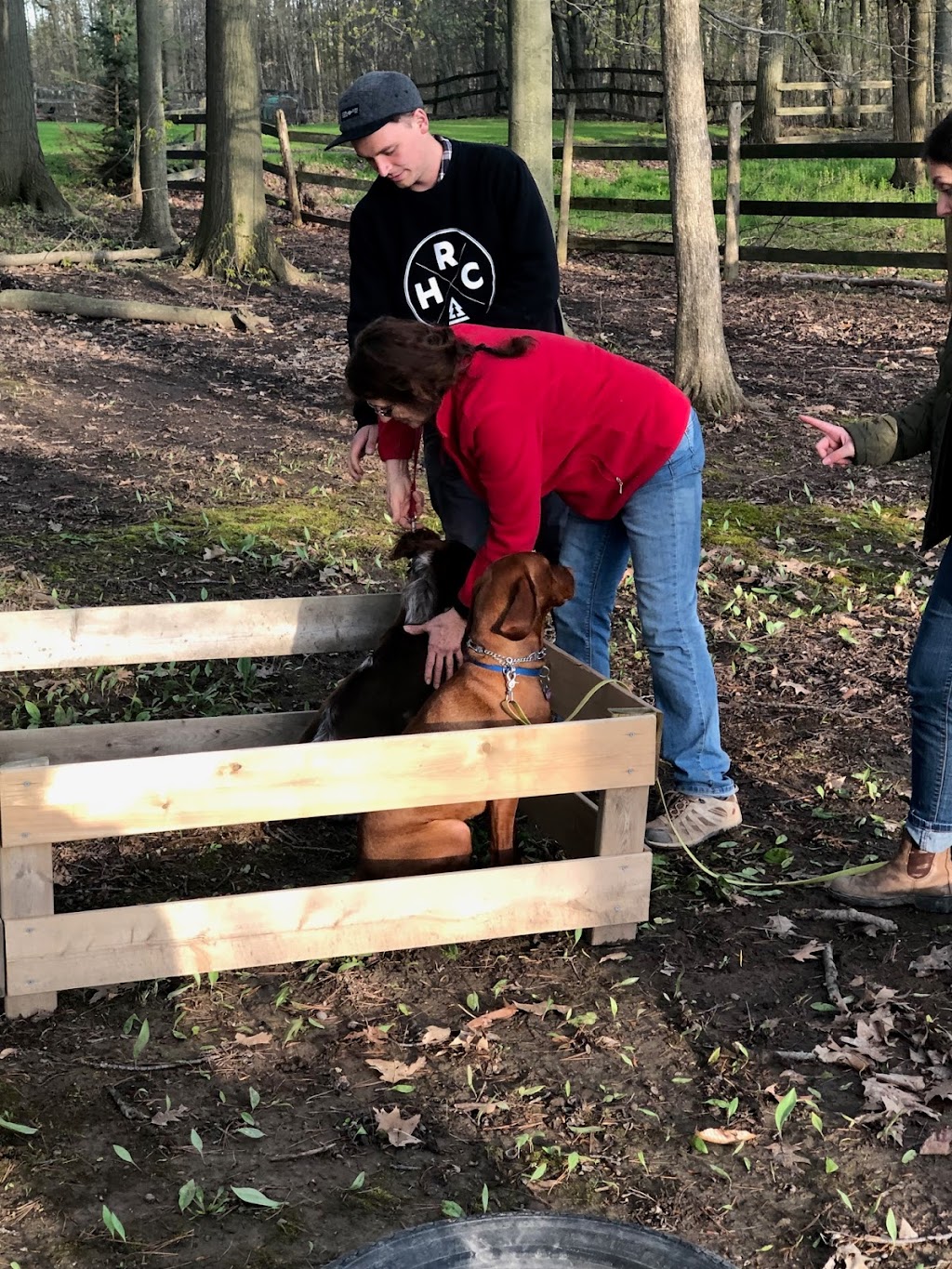 GoodHeart Dog Training Centre | 1469 Sawmill Rd, Ancaster, ON L9G 3L1, Canada | Phone: (905) 304-4284