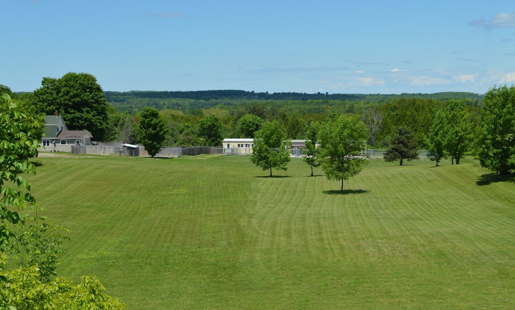 Goldnote | 1057 Wood Rd, Tay, ON L0K 2E0, Canada | Phone: (705) 322-6134