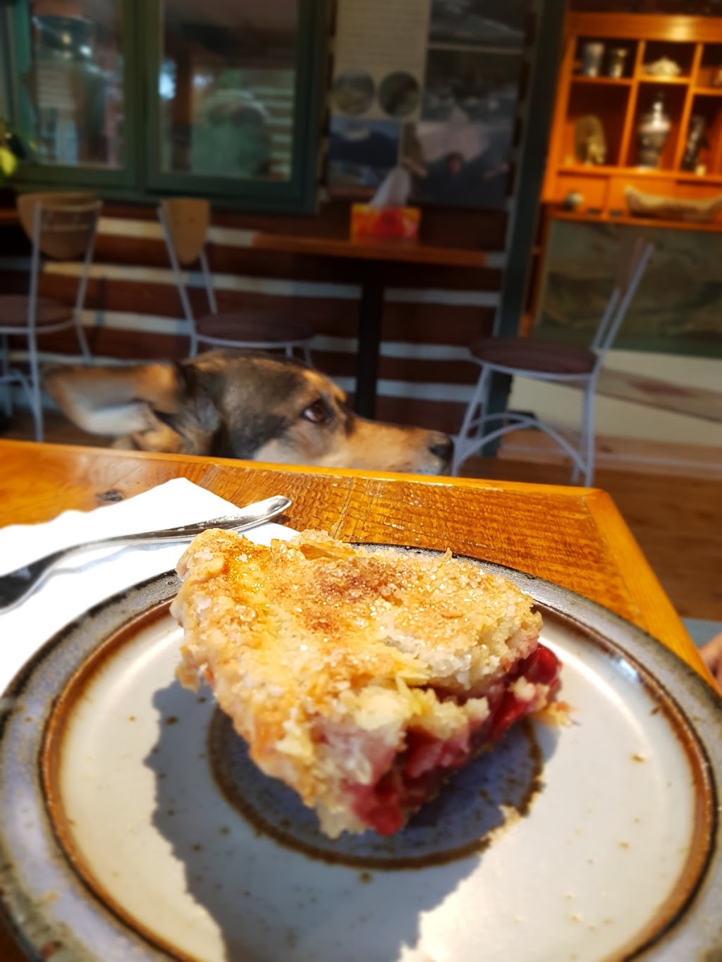 Farmhouse Pottery Gallery and Cafe | 307114 Hockley Rd, Laurel, ON L0N 1L0, Canada