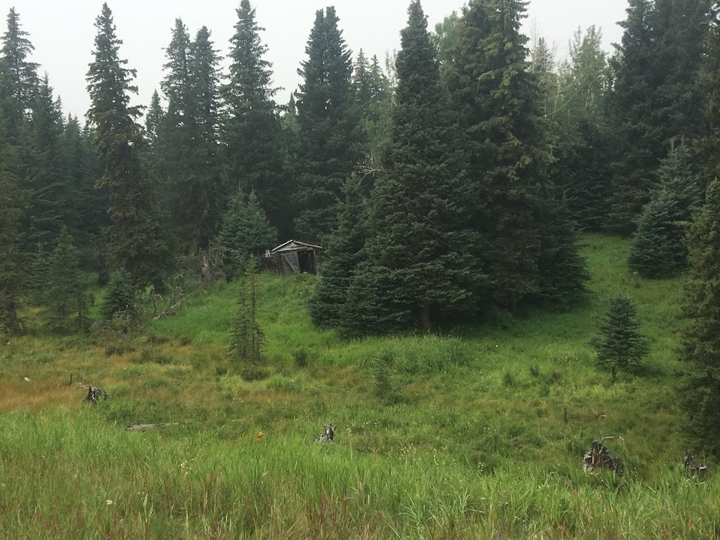 Upper Shunda Creek Campground | 405058 Shunda Creek Road, Nordegg, AB T0M 2H0, Canada | Phone: (403) 844-1293