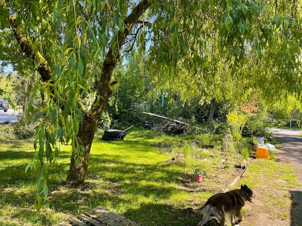 K9 Friends Dog Daycare | 19345 76 Ave, Surrey, BC V4N 6C6, Canada | Phone: (604) 763-8644