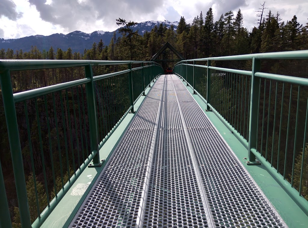 Whistler Bungee Office | 4314 Main St #19, Whistler, BC V8E 1A8, Canada | Phone: (604) 938-9333