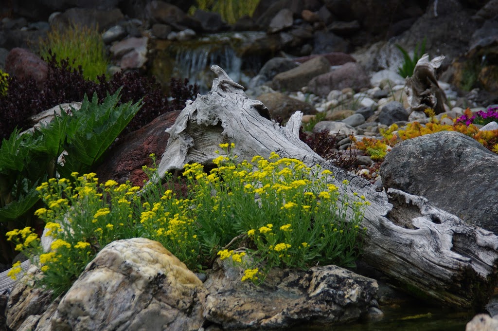 Jurassic Excavating & Landscaping | 2396 Balmoral Rd, Sorrento, BC V0E 2W1, Canada | Phone: (250) 300-9736