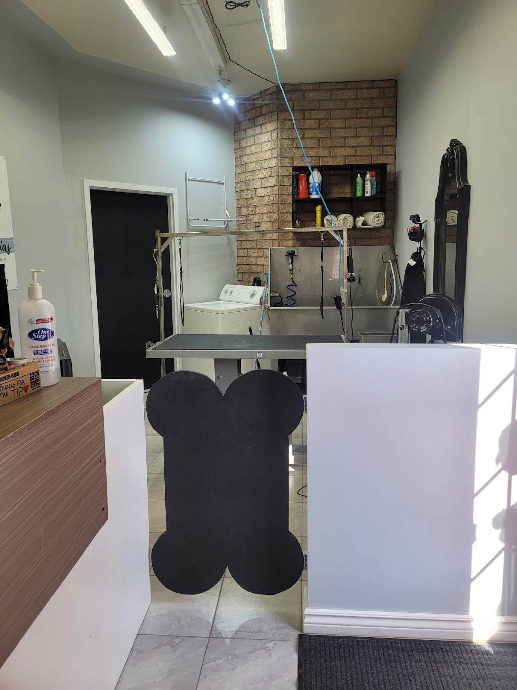 Pawtricias Dog Grooming | 56 Nicole Marie Ave, Barrie, ON L4M 6Y6, Canada | Phone: (416) 857-5300