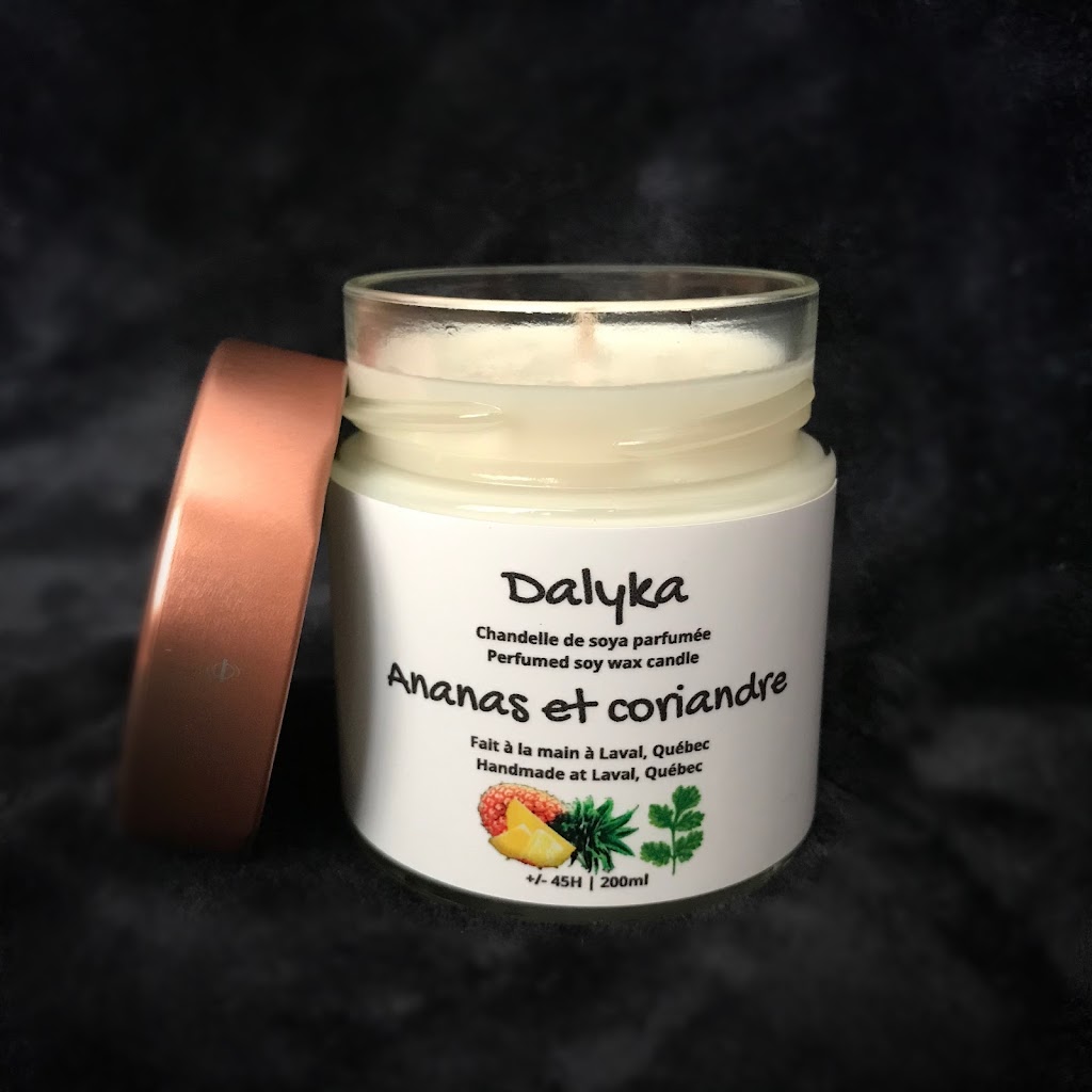 Dalyka | 151 Bd Sainte-Rose, Laval, QC H7L 1L2, Canada | Phone: (514) 519-5532