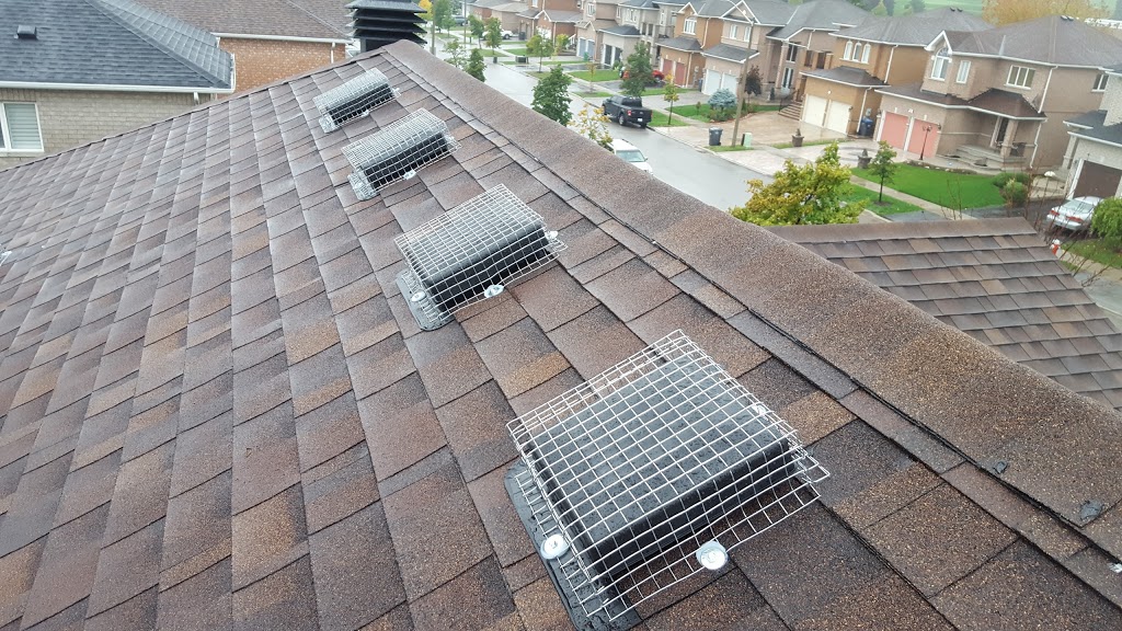 SIA Wildlife Control inc. | 26 Riveredge Dr, Keswick, ON L4P 2N9, Canada | Phone: (647) 715-6262