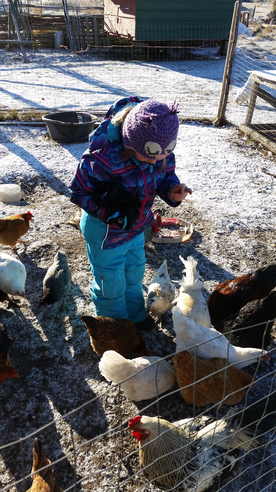 Good Note Community Farm | 510 Township Rd 510, New Sarepta, AB T0B 3M0, Canada | Phone: (780) 941-2341
