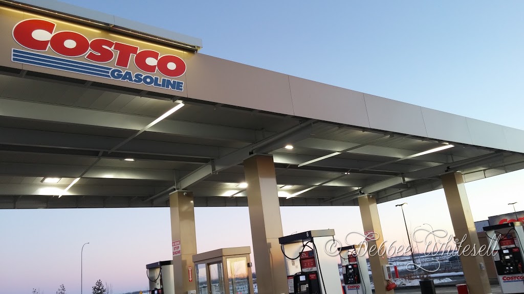 Costco Gasoline | 1075 St Albert Trail, St. Albert, AB T8N 4K6, Canada | Phone: (780) 544-2000