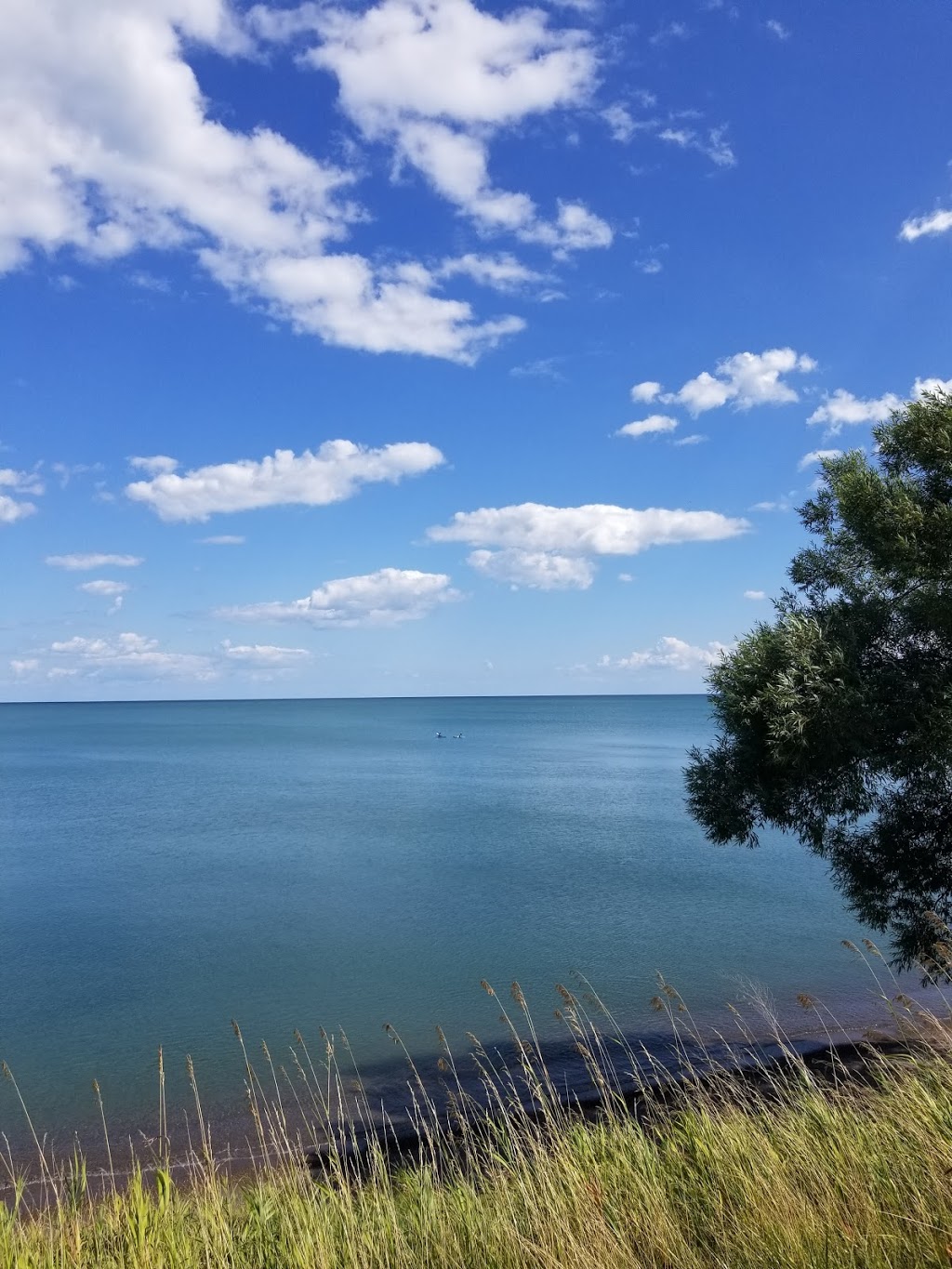 Wildwood by the lake | Unnamed Road, Morpeth, ON N0P 1X0, Canada | Phone: (519) 674-5516