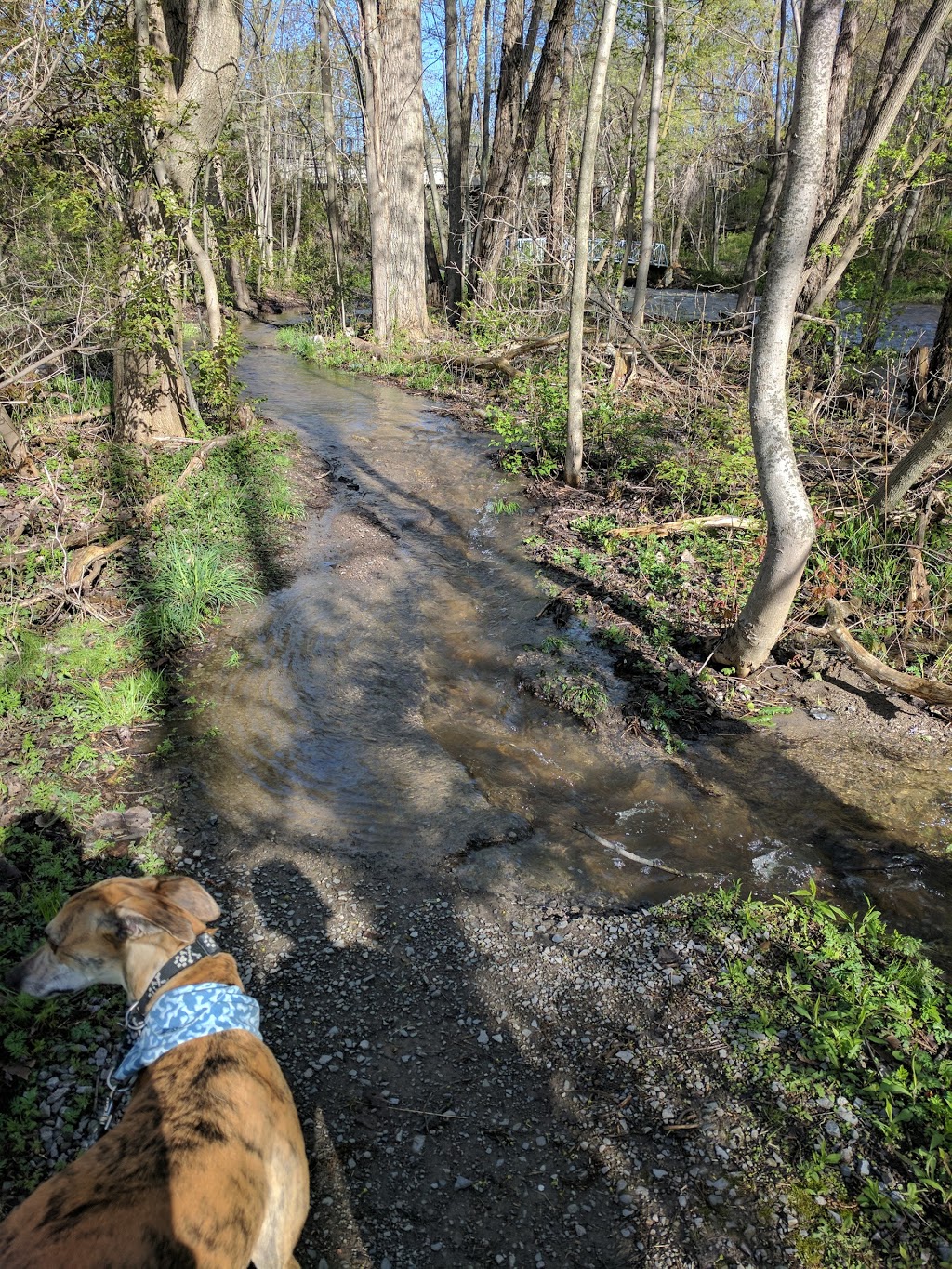 Greensville Optimist Park - Optimist Trail, Hamilton, ON L9H 5H3, Canada