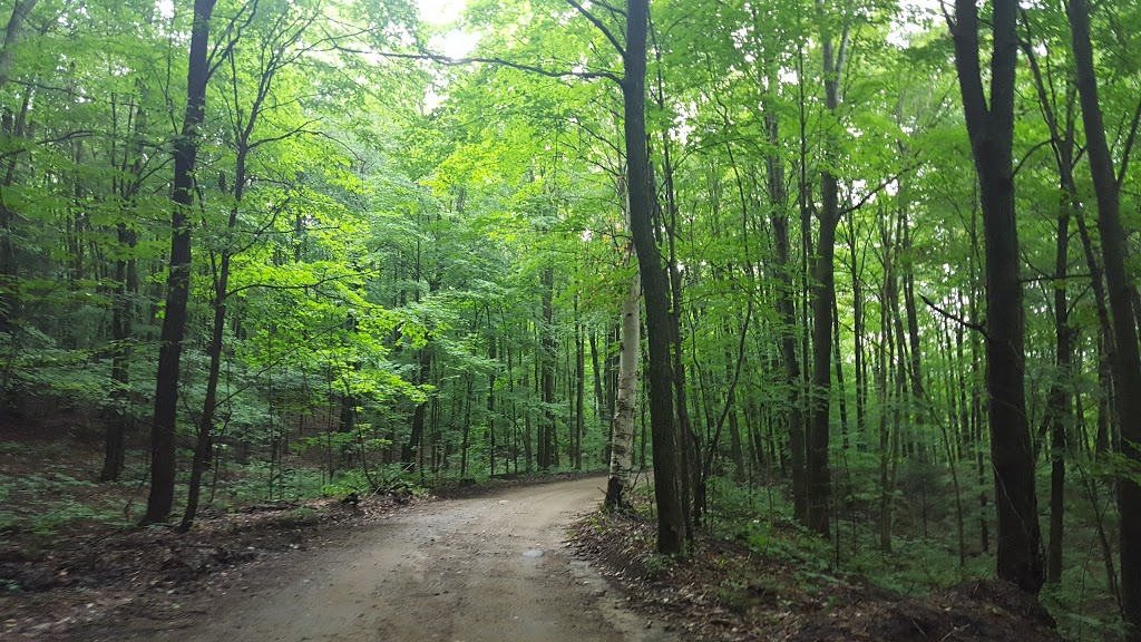 Whitewater Ontario / Minden Whitewater Preserve | 1020 Bethel Rd, Minden, ON K0M 2K0, Canada | Phone: (888) 322-2849