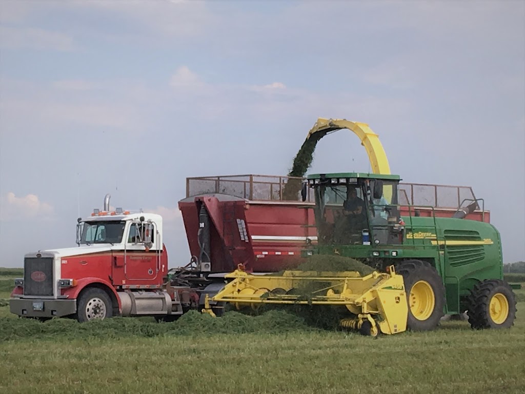 Boonstra Farms Ltd (Dairy Farm) | Rd 6w, MB R0H 0V0, Canada | Phone: (204) 322-5610