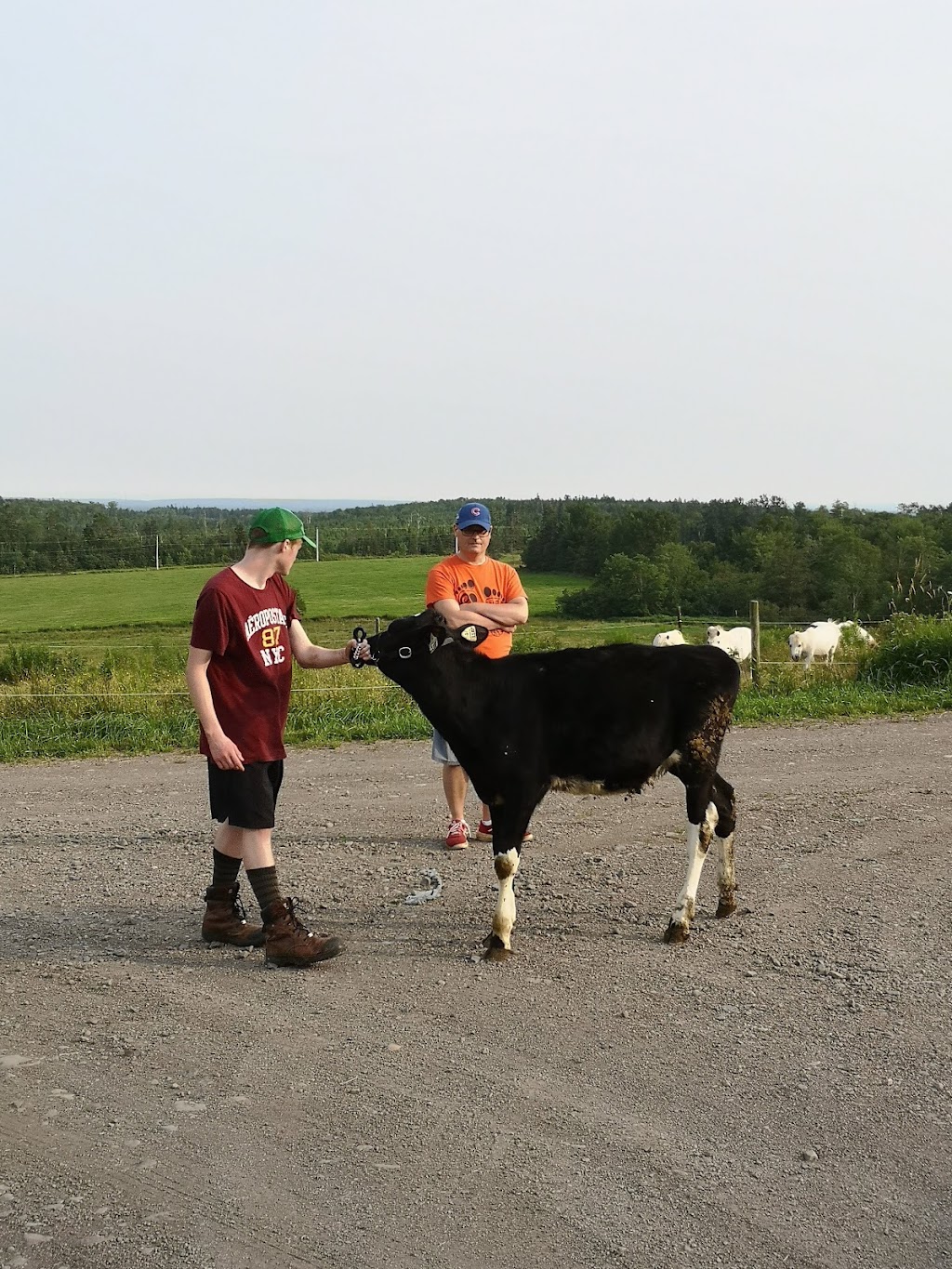 Hilden Farms Ltd | 105 Morgan Rd, Brookfield, NS B0N 1C0, Canada | Phone: (902) 986-7998