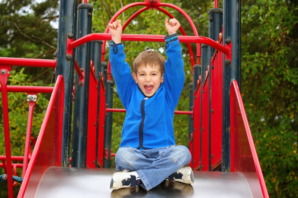 Active Playground Equipment | 124 Kendall St, Point Edward, ON N7V 4G5, Canada | Phone: (800) 463-2361