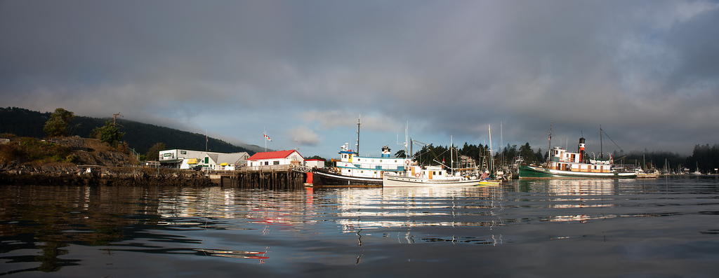 Wahl Marine Construction Ltd - Gulf Islands | 222 Musgrave Rd, Salt Spring Island, BC V8K 1V5, Canada | Phone: (778) 354-1804