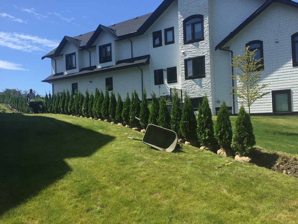 My Fraser green landscaping ltd | 3983 Paradise Pl, Abbotsford, BC V2S 8E3, Canada | Phone: (604) 825-3175