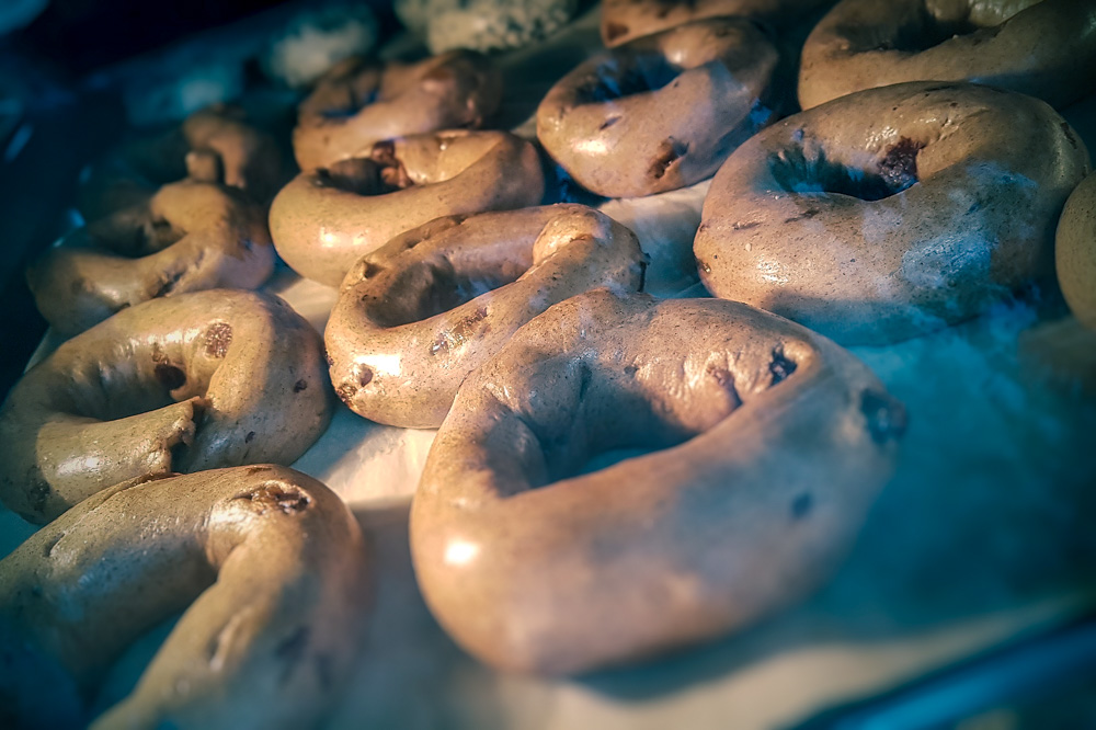 OhBagel | 32719 6 Ave, Mission, BC V2V 1Y8, Canada | Phone: (604) 226-3551