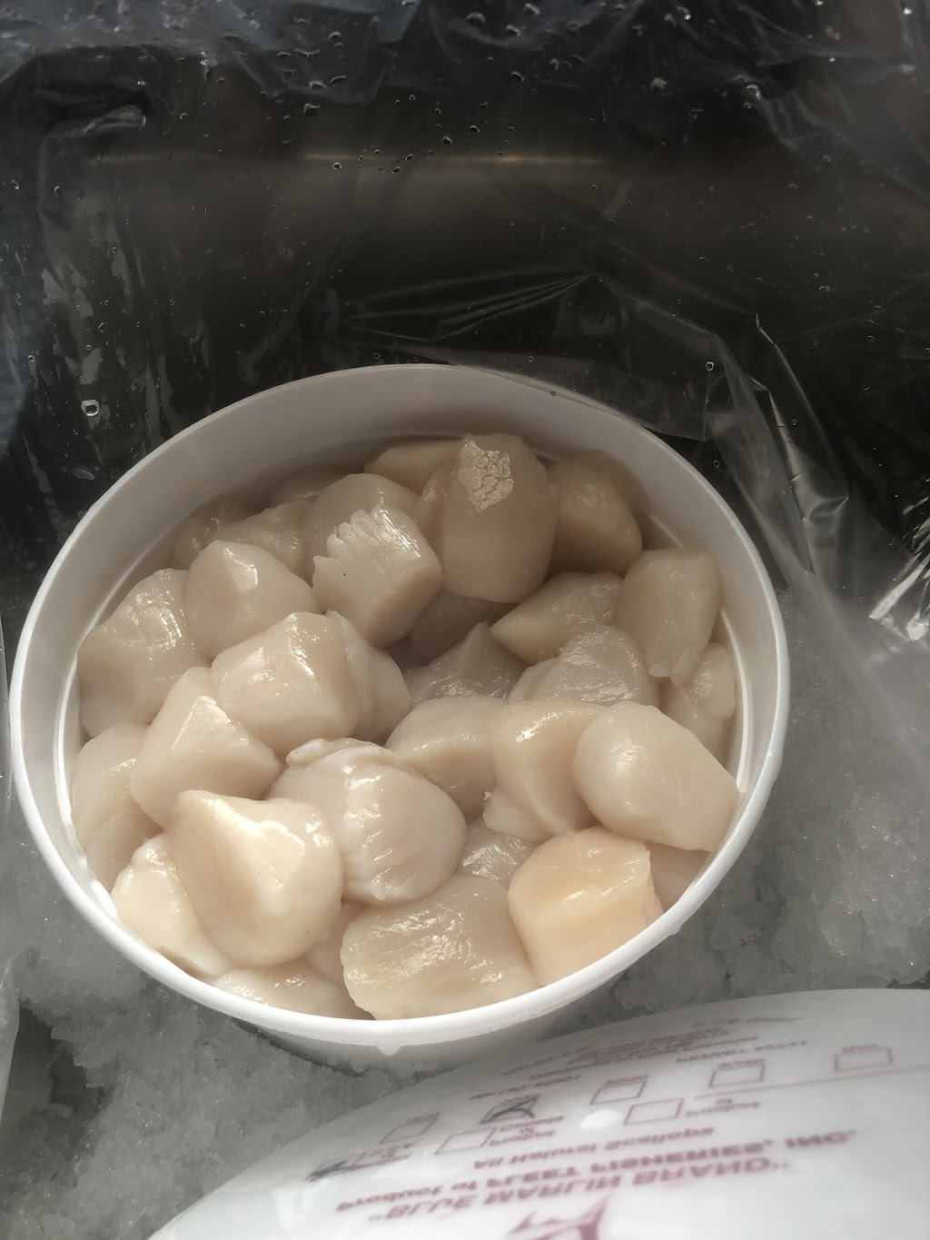 Harbour Seafood | 15 Gill St, Coldwater, ON L0K 1E0, Canada | Phone: (705) 543-0311